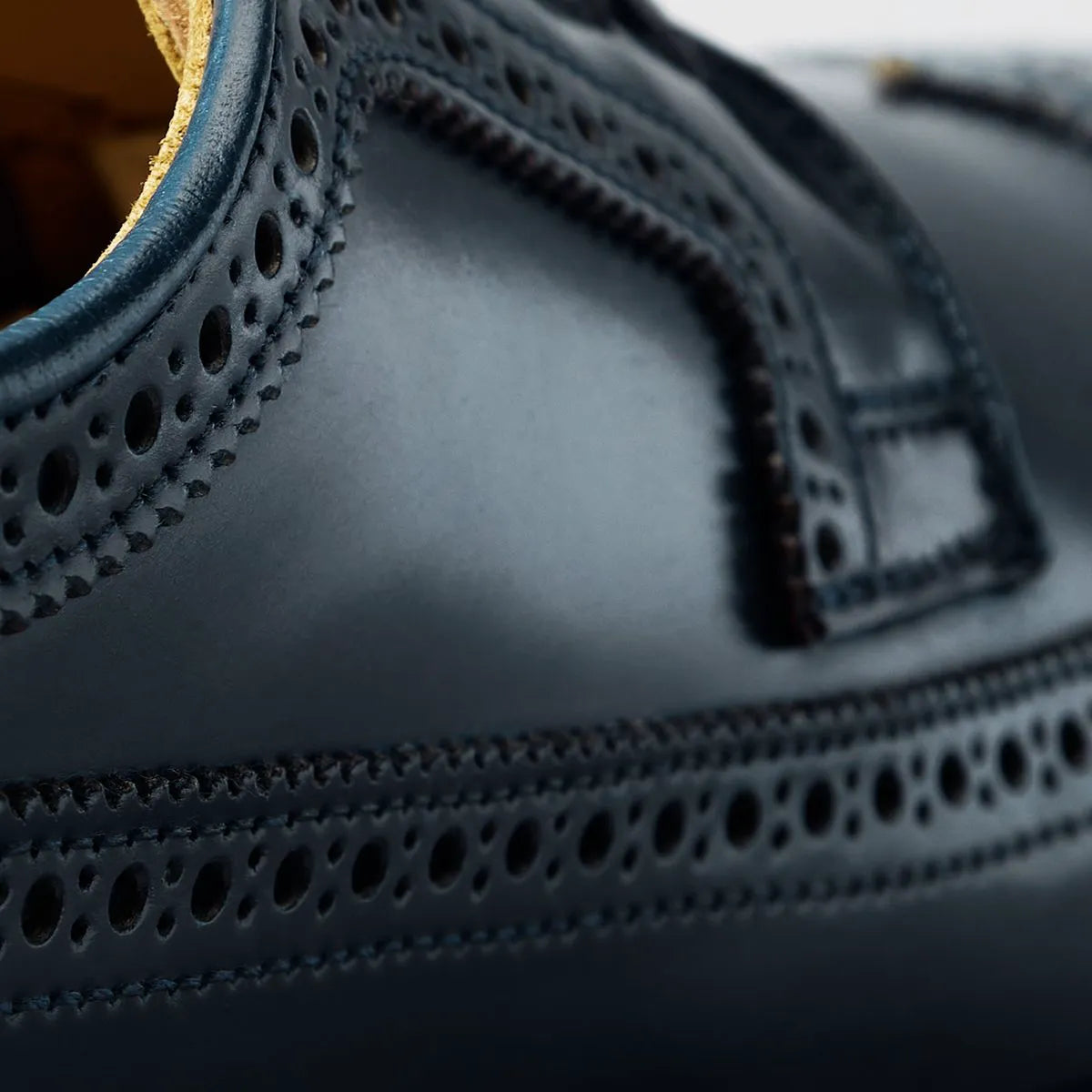 Mason Reserve Wingtip Derby Dress Shoe - Navy Cordovan Leather