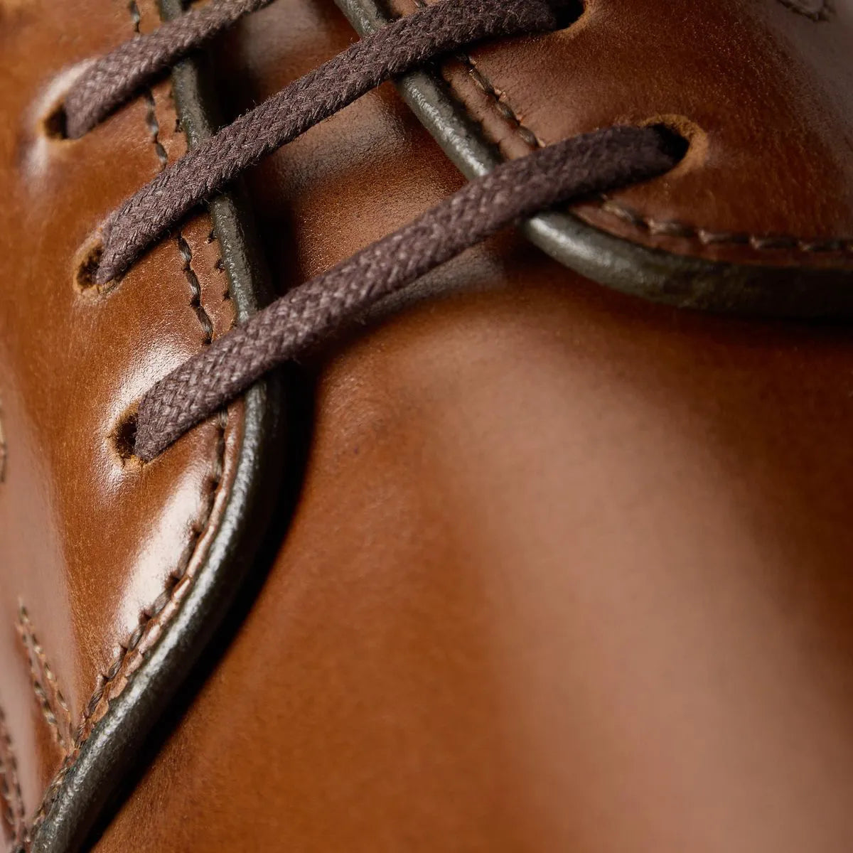 Maxwell Reserve Plain-toe Derby Dress Shoe - Chili Leather