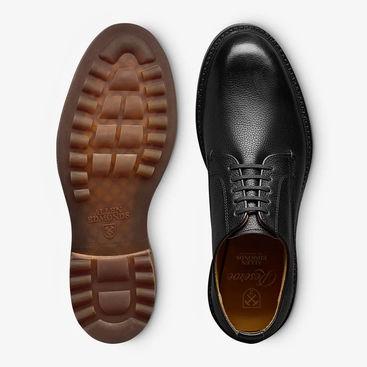 Noah Reserve Plain-toe Derby Dress Shoe - Black Leather