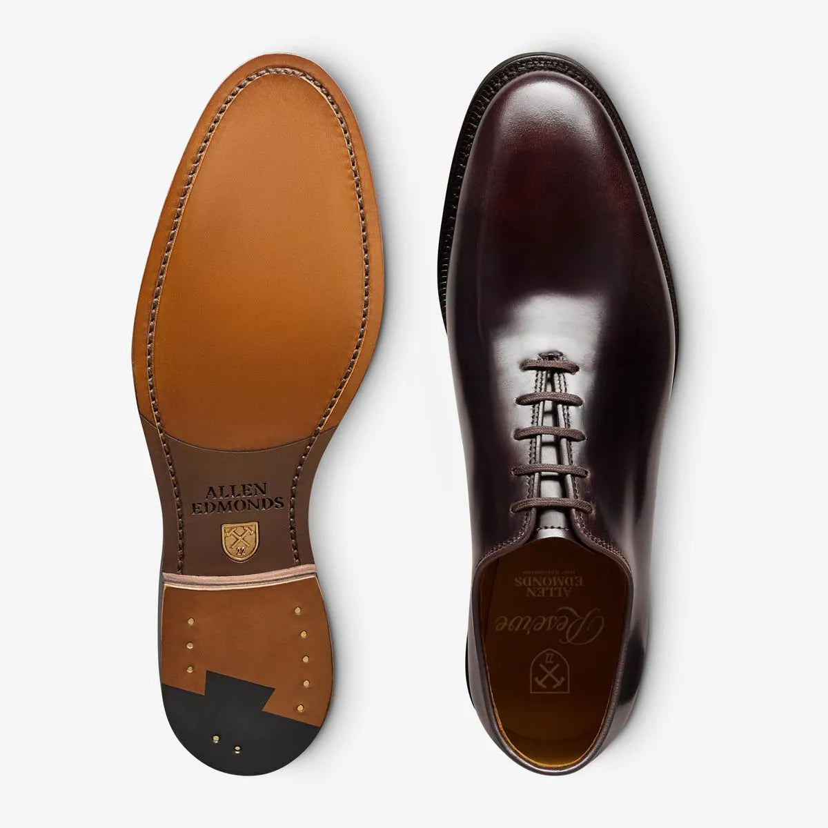 Morrison Reserve Whole-cut Oxford Dress Shoe - Dark Brown Calf Leather
